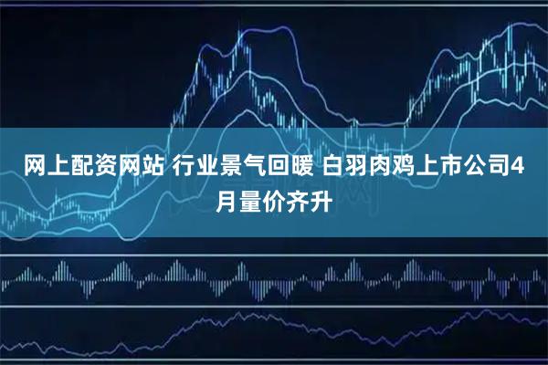 网上配资网站 行业景气回暖 白羽肉鸡上市公司4月量价齐升